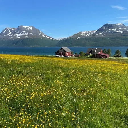 ホームステイ 3art Recreation トロムソ