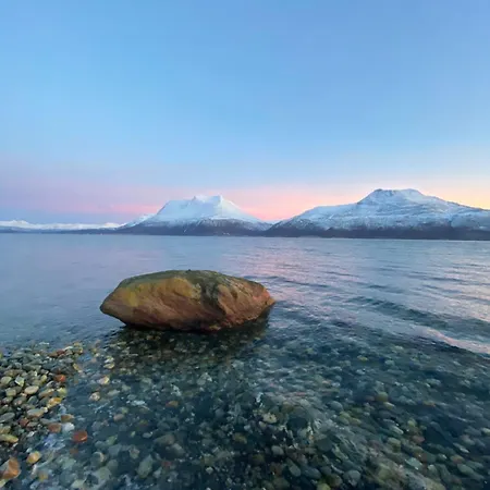 3art Recreation ホームステイ *