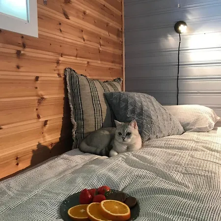 3art Recreation * トロムソ