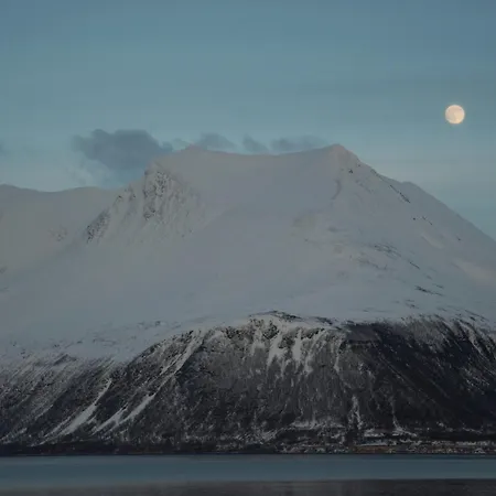 3art Recreation ホームステイ