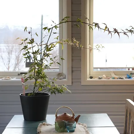 3art Recreation ホームステイ トロムソ