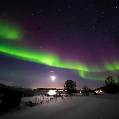 3art Recreation * トロムソ