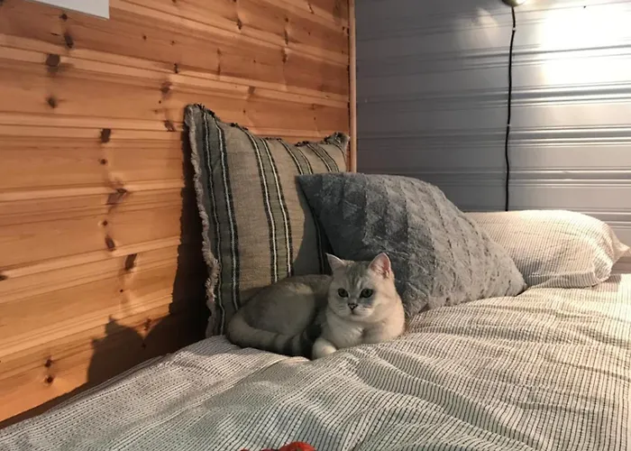 3art Recreation * Tromsø