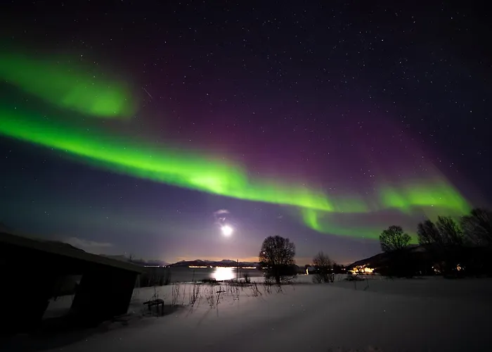 3art Recreation * Tromsø